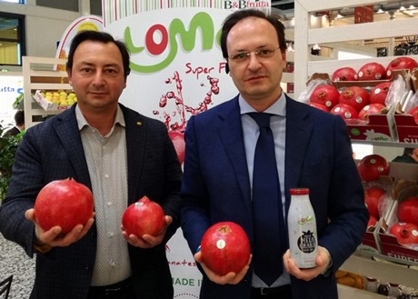 A sinistra Davide De Lisi, a destra Dario De Lisi