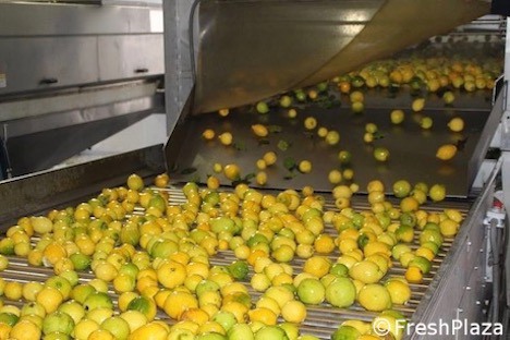 Senza la stipula dei contratti alla base, salta la credibilita' del settore dei derivati di agrumi