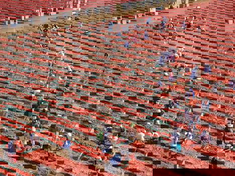 I Cupidi incantano con i sapori della tradizione pugliese