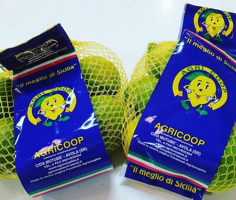 Un bilancio della campagna del Limone di Siracusa Igp biologico