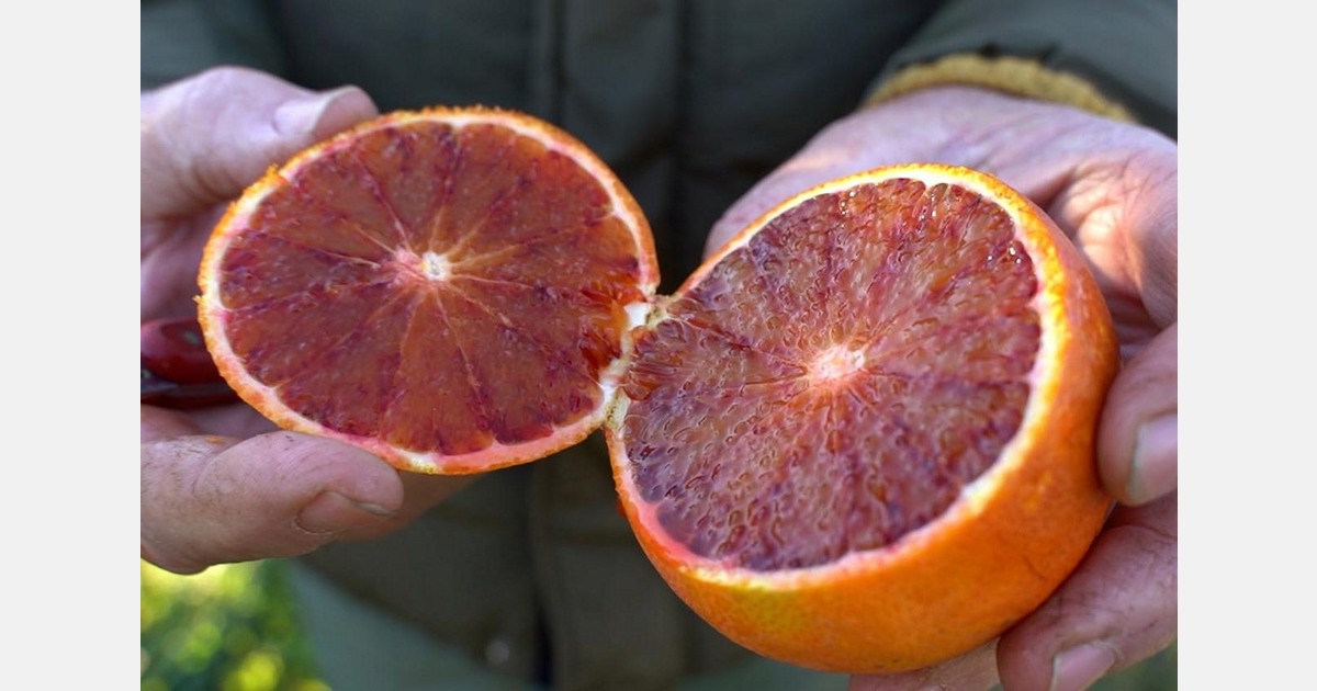 Cavo Per Altoparlante Per Auto Da 16 Gauge(177+) - Alibaba - Foto 9