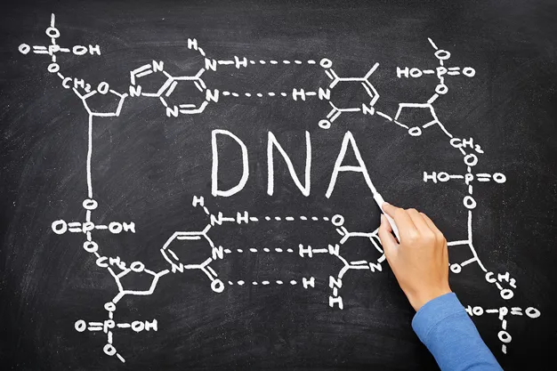 Schema DNA per rappresentare NGT