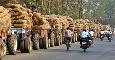 India_potato.jpg?preset=ContentFullSmall