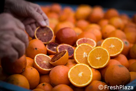 Bevande all&#39;arancia: l&#39;innalzamento della percentuale minima agevolera&#39;  solo gli importatori di succo di agrumi