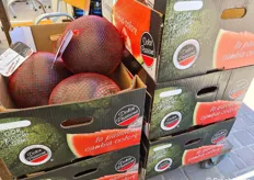 Packaging molto curato per questa anguria prodotta in un centinaio di ettari in Italia