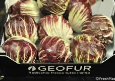 Geofur, un marchio conosciuto in tutta Europa