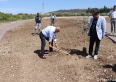 Farinetti piantuma il primo albero di ulivo nel nuovo parco della biodiversità dell'azienda