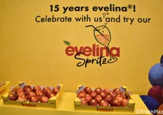 Auguri ai 15 anni di mela Evelina.