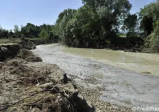 Il fiume Ronco ha triplicato la propria larghezza
