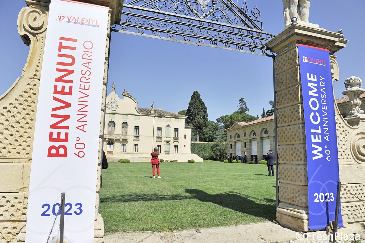 Valente, 60 anni di storia