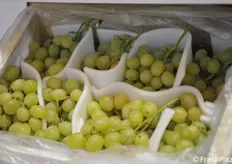 Particolare di uva da tavola nello stand Peviani