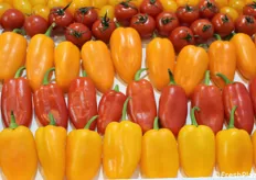 Oltre a zucchino bianco, datterino giallo, la linea "Ne abbiamo di tutti i colori", Southern Seed ha portato in fiera anche i peperoni snack.