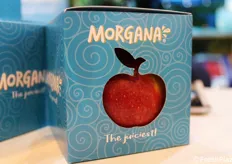 Frutto della partnership tra le quattro aziende che compongono il Morgana Apple Group-MAG, ovvero l'olandese Mergelland Fruitland, la belga BFV, la tedesca Krings e l'italiana Melinda, Morgana è il brand name scelto per la commercializzazione della cultivar Kizuri.