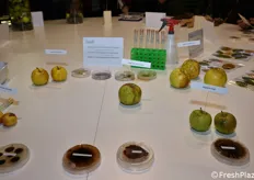 Panoramica della diagnostica fitopatologica delle mele offerta dal Centro di Sperimentazione Laimburg.
