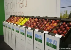Il Civ di Ferrara ha portato in mostra numerose varietà di mele