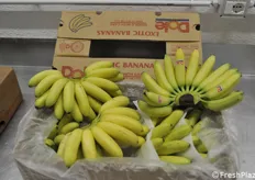 Altre banane a diverso stadio di maturazione