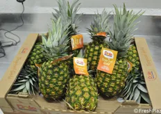 Cartone di ananas