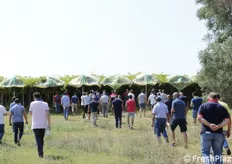 Puglia: Open Field Day del 23 luglio 2019 organizzato da A.V.I. Srl per presentare la gamma varietale ARRA e l’intero progetto GRAPA – AVI. Arrivo dei partecipanti nei campi pugliesi.