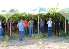 Visite dimostrative in campo nelle campagne Di Francavilla Fontana (Brindisi).