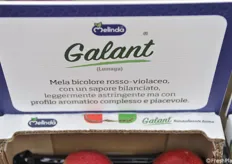 Galant è caratterizzata da aromaticità e sapore bilanciato