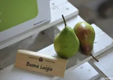 Non solo mele, ma anche le pere antiche fra cui la storica Buona Luigia, una delle varietà più diffuse in zona nei secoli scorsi