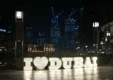Immagine notturna nella piazza antistante il famoso centro commerciale Dubai Mall