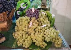 Dettaglio dell'ottima uva esposta