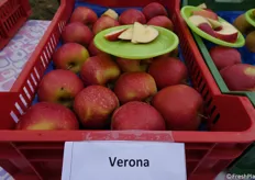 Produzione in Veneto. è stata comparata la qualità sensoriale fra le diverse aree di produzione 