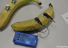 Fruttimetro: sensori per analisi dei frutti attraverso impulsi elettrici