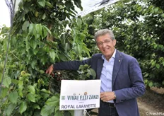 Giovanni Zanzi mostra la cultivar Royal Lafayette della IPS
