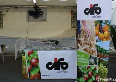 Stand Cifo