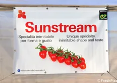 Sunstream 
