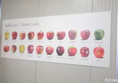 Il catalogo delle mele.
