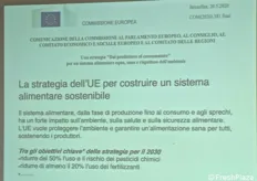 UE: strategia dal produttore al consumatore