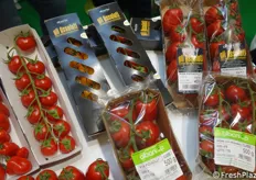 Dettaglio dei pomodori in esposizione presso lo stand della OP Albani. Si notino le ottime condizioni nonostante il trasporto e i tre giorni di esposizione in fiera.